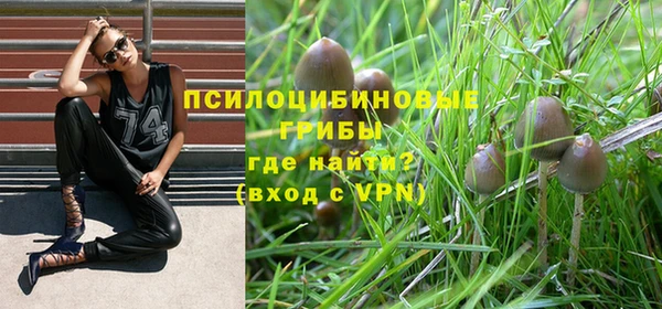 эйфоретик Нея