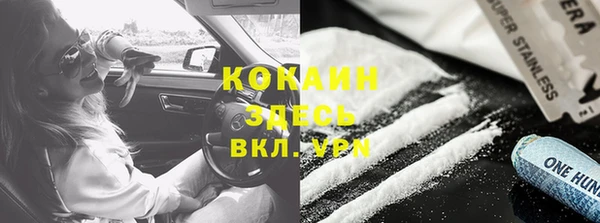 прущие грибы Заволжье