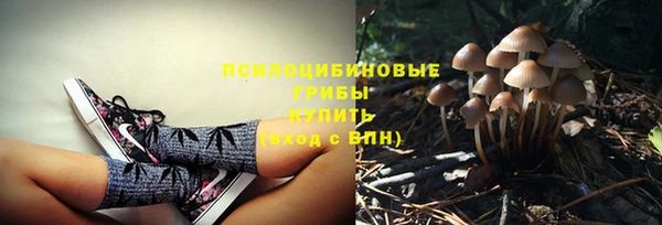 бошки Новодвинск