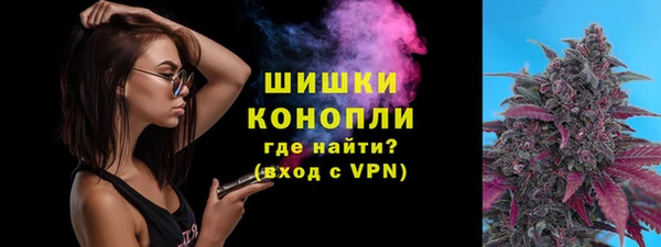 бошки Новодвинск