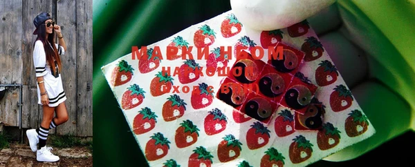 стафф Нефтекумск