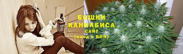 гашик Новокубанск